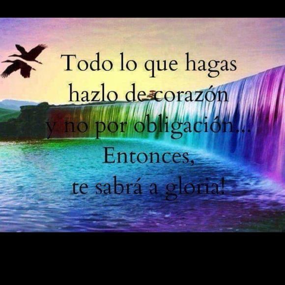 Meet your Posher, Stedaliu - Picture 1 of 1